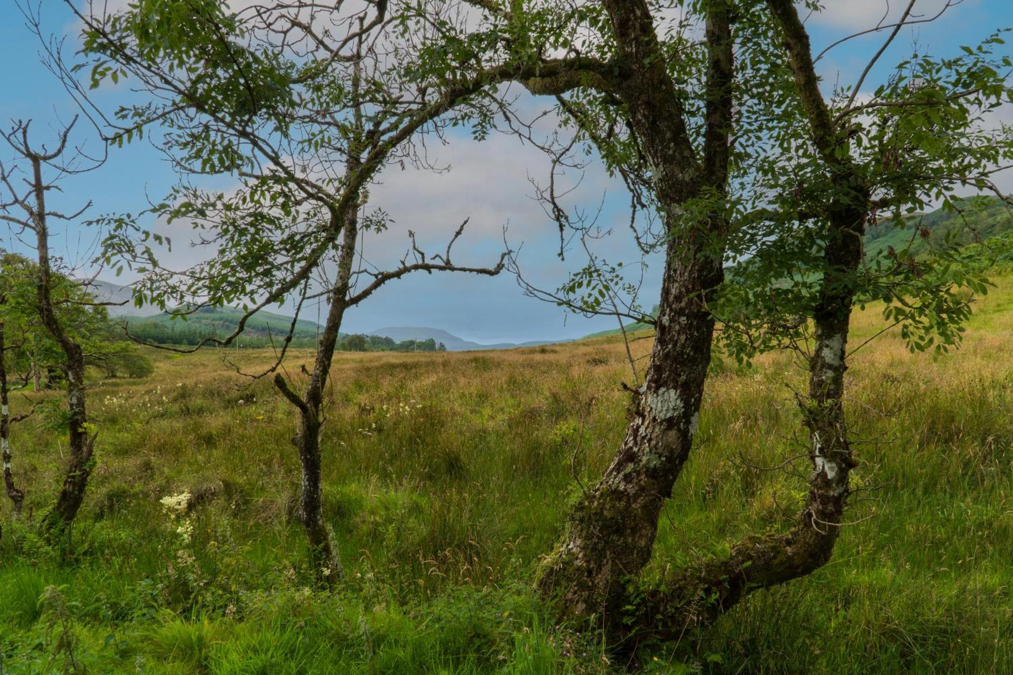 Killean Farmhouse B&B Инверари Экстерьер фото