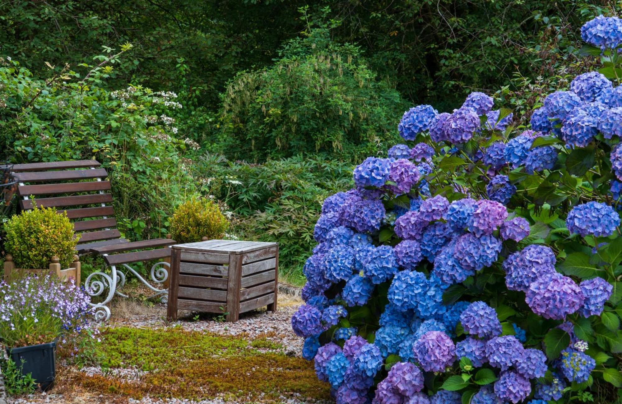 Killean Farmhouse B&B Инверари Экстерьер фото